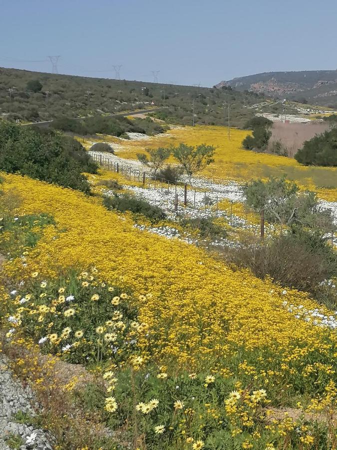 Bokkomblommetjie Lambertʼs Bay Esterno foto